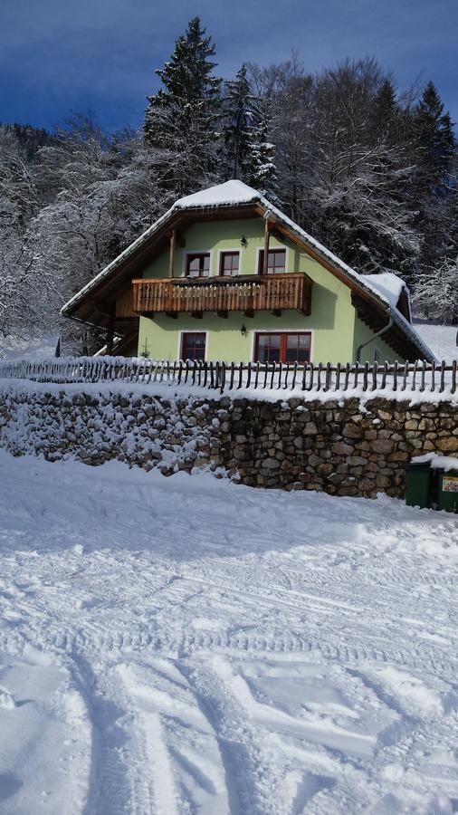 Vaznik Farm House Apartments Bled Exterior photo